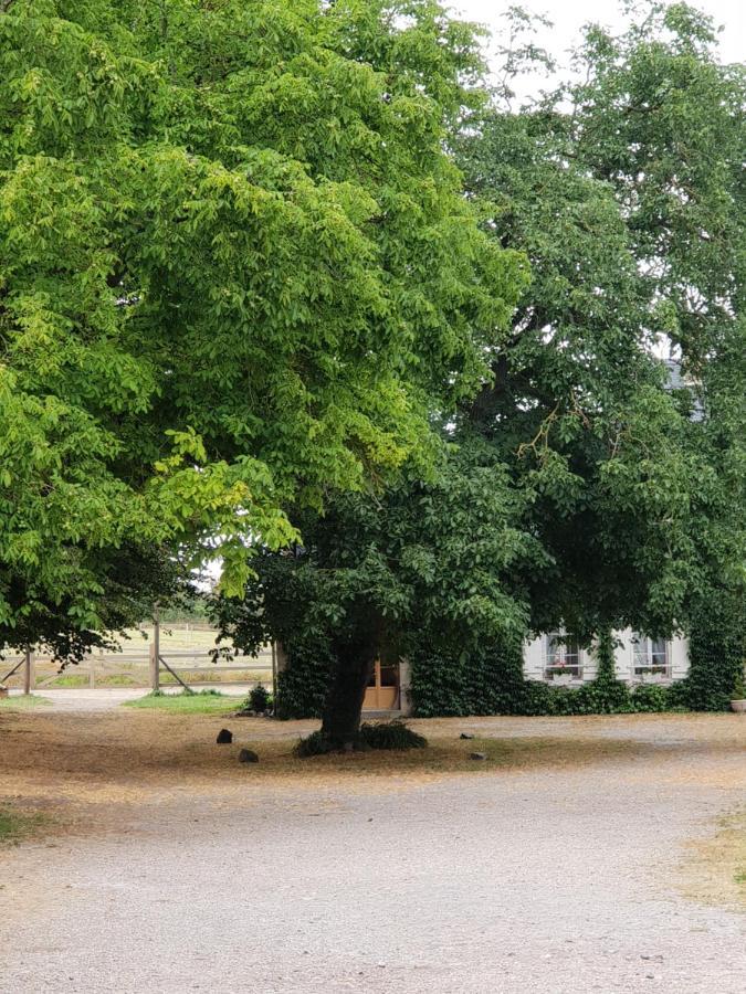 Bed and Breakfast La Tilia Saint-Riquier Esterno foto